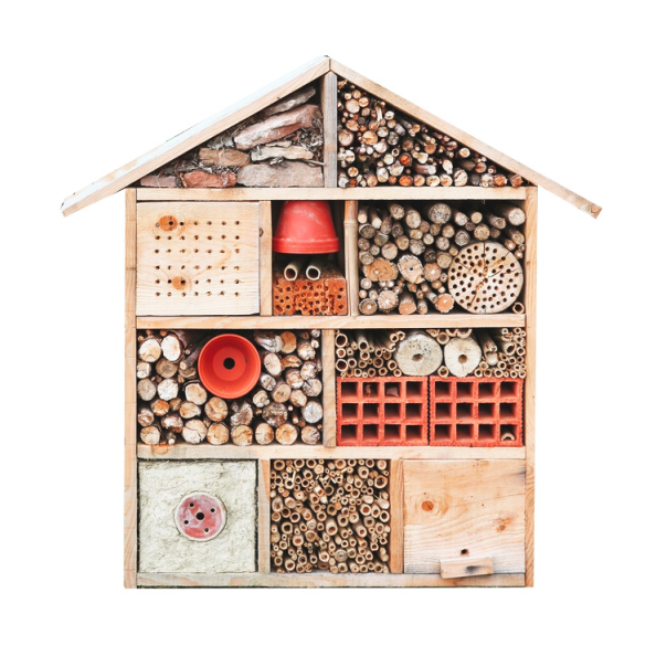 Grand Insect Hotel