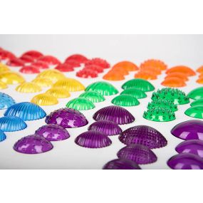 Transparent Tactile Shells  | Creative Activity