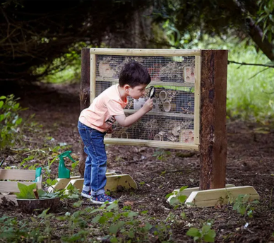 Planting & Potting